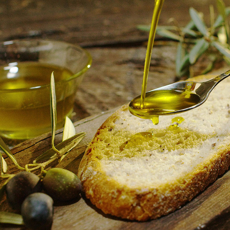 DALMATIAN WINERIES & OLIVE OIL TOUR Degenija tours