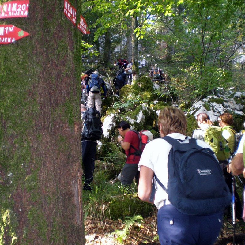 MEDVJEĐAK HIKING TRAIL TOUR Degenija tours